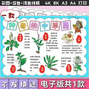 中草药手抄报神奇的电子版模板小学生介绍中医药文化小报线稿a3a4