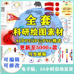 科研绘图素材ppt材料实验仪器设备化学生物流程图片SCI器官细胞A