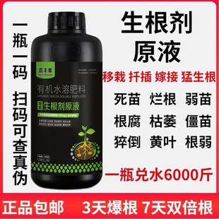 猛生根强力爆根生根剂原液壮苗剂生根液移栽蔬菜果树花卉绿萝通用