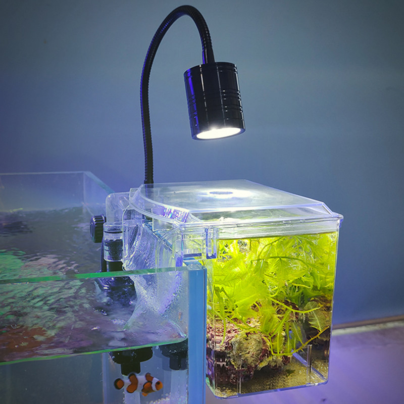 海水3W夹灯小型鱼缸LED灯 珊瑚灯白光照明 水族补光灯