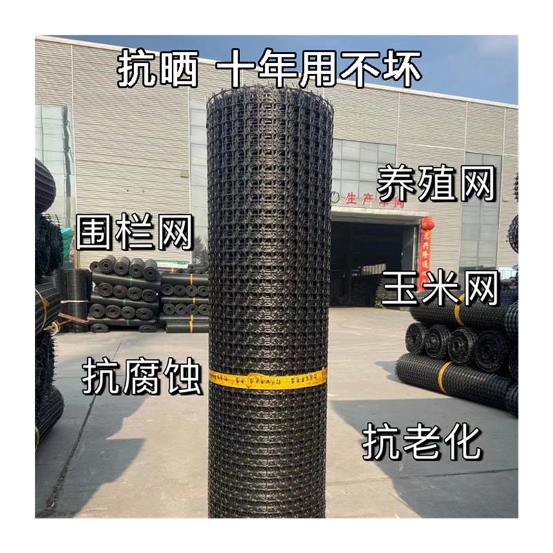 现货速发塑胶网格养殖围养鸡鸭鹅栏网菜园子栅栏户外网子防护隔离