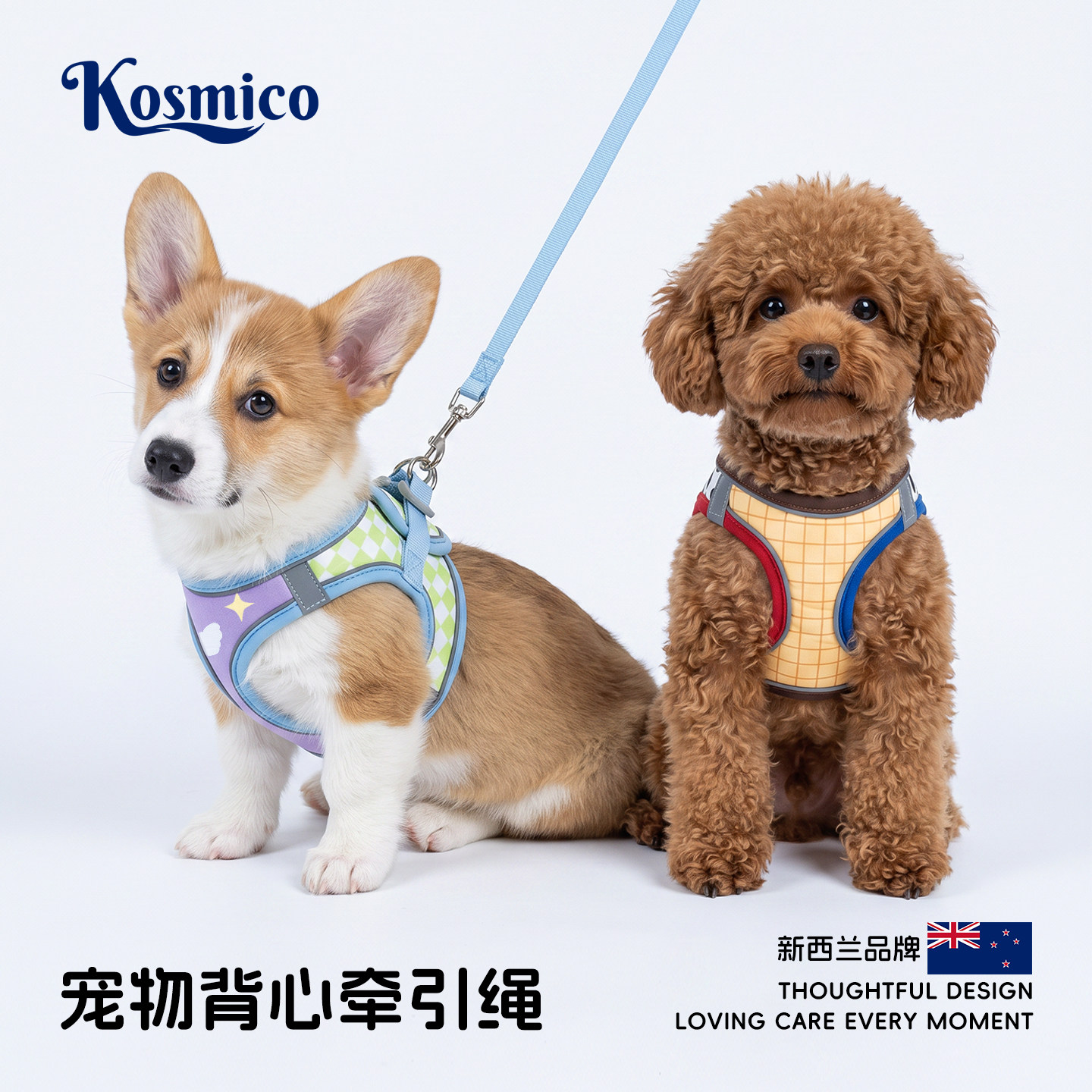 新西兰中小型犬自动伸缩牵引绳图片