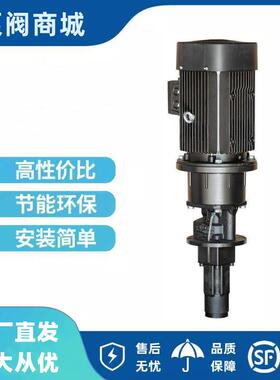 格兰富浸入螺杆机床泵MTS20-30 40 50 70 80 R38DQ高压循环水泵