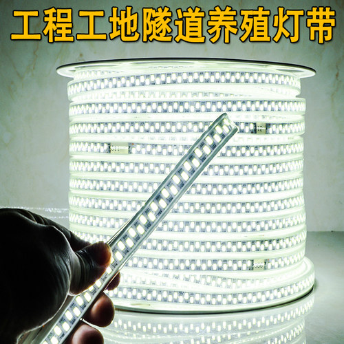 一卷100米灯带led工程亮化照明工地养殖园林装饰220v白光暖光灯条