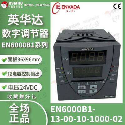 EN6000B1-13-00-10-1000-01英华达调节器继电器输出1报警100-240V