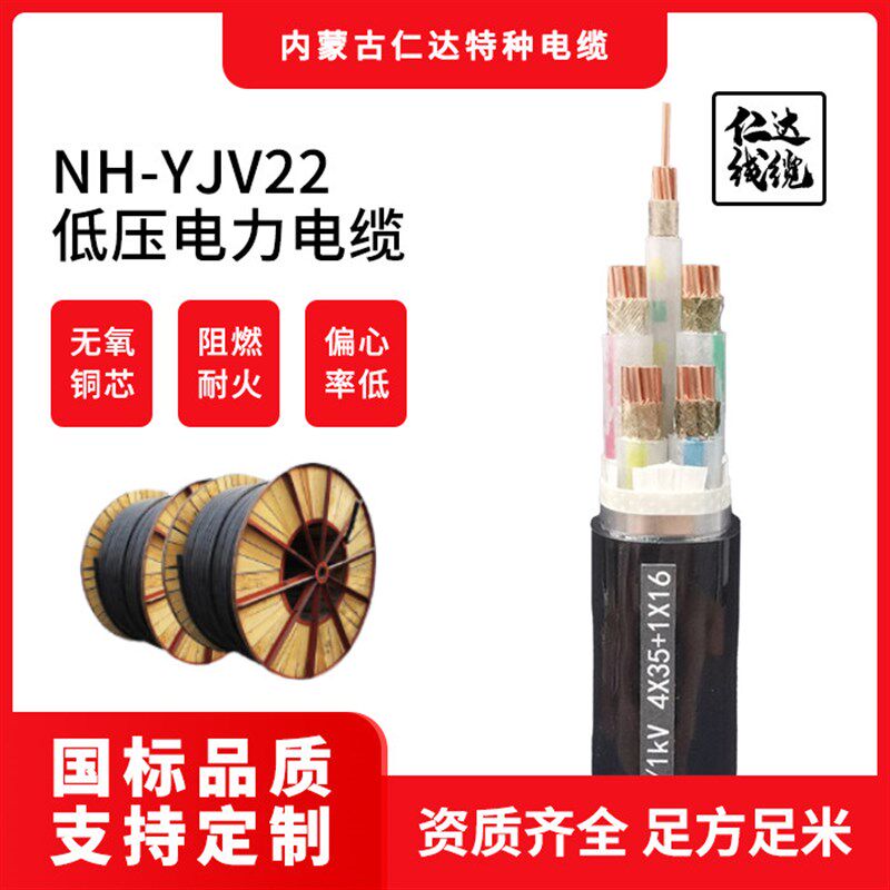 电线电缆 仁达 NH-YJV22 0.6/1KV 3芯电缆 3*95mm2 1米 常规PVC