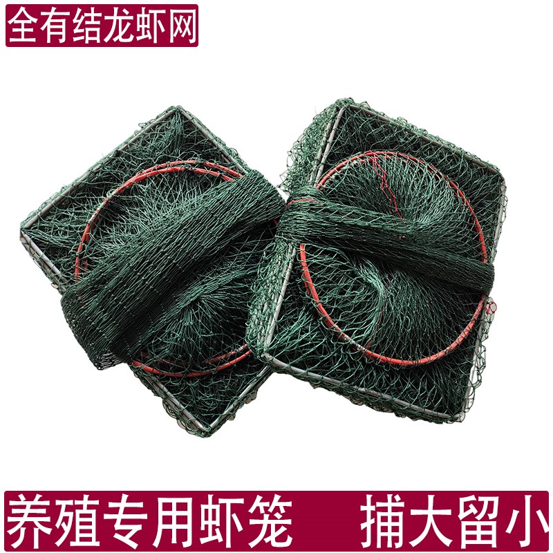 小鱼笼全有结龙虾螃蟹地网养殖甲鱼虾笼捕大留小大眼渔网鱼笼鱼网图片