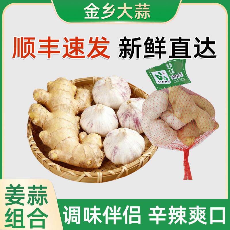 金乡姜蒜组合混装调味去腥组合