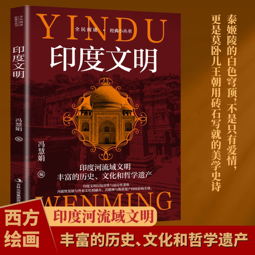 印度文明 探索古印度王朝更迭与哲学思想的永恒智慧文化解读书籍