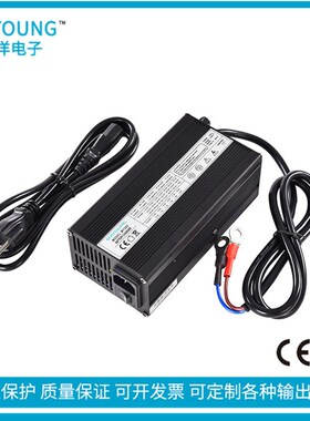 12V20A电动堆高机牵引电动车12V120Ah~200Ah免维护铅酸蓄电池充电