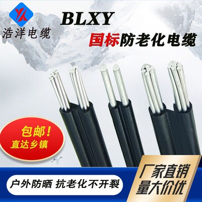 国标室外防老化2芯铝线4 6 10 16 25 35平方集束平行线铝芯电缆线
