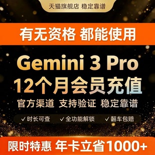 【Gemini3pro ！稳定不降智】Gemini pro 3/2.5 3.0 nano会员代充