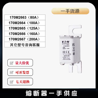 170M2663 170M2664 170M2665 170M2666 170M2667 BUSSMANN 熔断器