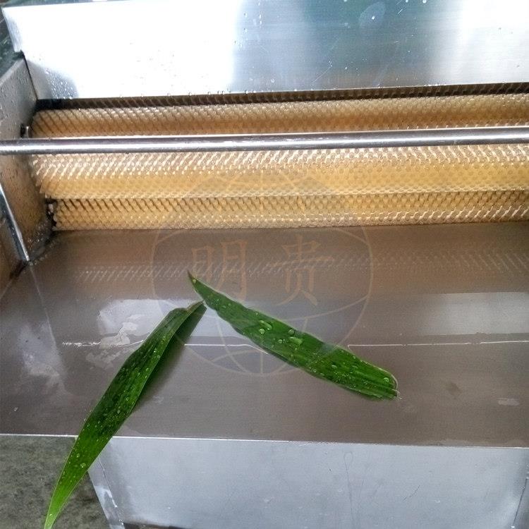毛辊粽叶清洗机快速洗笋叶机器明贵大叶仙茅自动清洗机