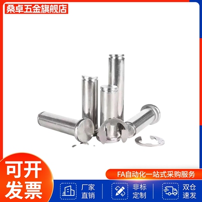 SHCCG SHCDG SHCCGH3 4 5 6 8 10-10 15 20 25 30铰链销CCG CCGH