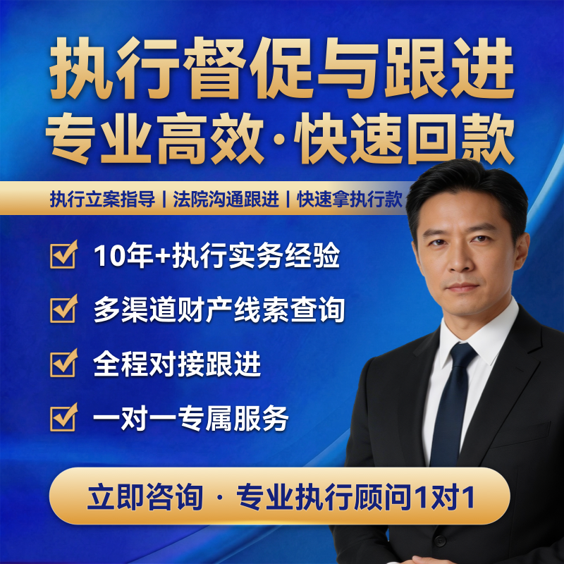 调解服务执行跟进执行督促与跟进判决后执行催办执行立案指导财产