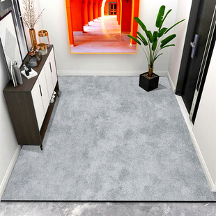 门口地垫入户门地垫吸水脚垫 进门地毯高档纳帕皮pu免洗可擦防滑