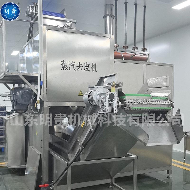 紫山蒸汽去皮机土豆温剥皮机器自动化果蔬去皮设备