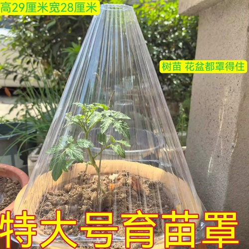 特大号育苗保护罩加厚蔬菜植物罩瓜菜幼苗秧苗保温防霜冻防虫防鸟