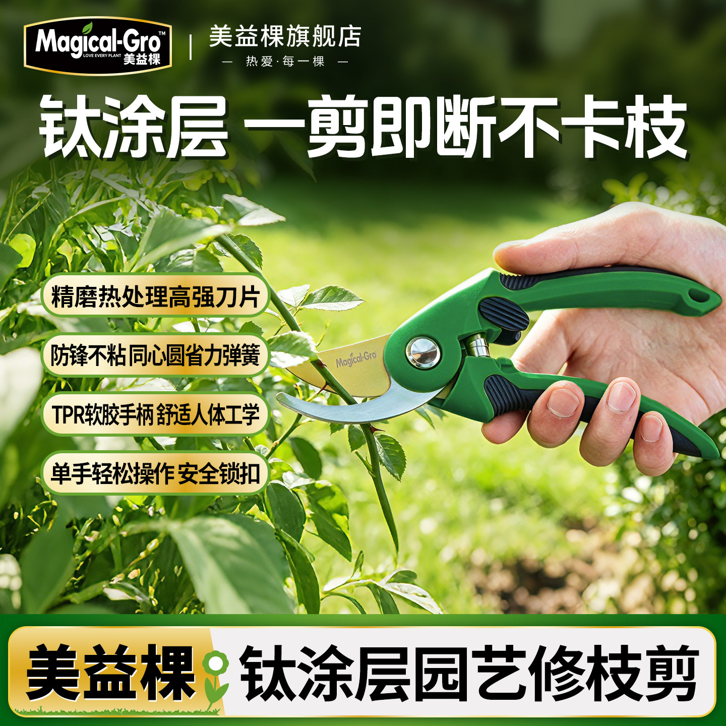 美益棵月季果树盆栽枝剪图片