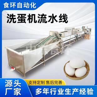 保洁蛋清洗去泥设备自动皮蛋生产机器鸡蛋喷油保鲜全自动洗蛋机