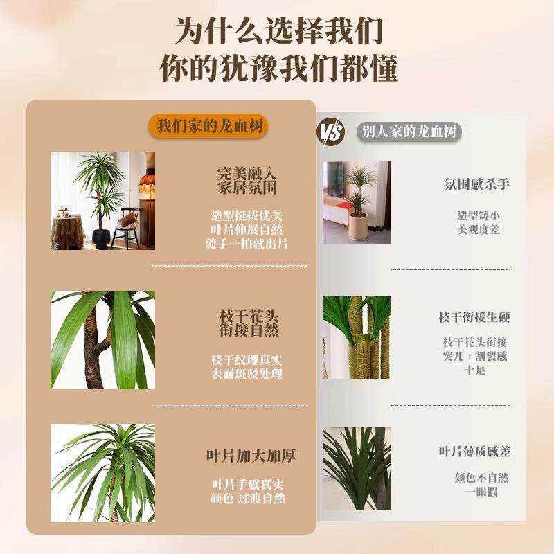 龙须树仿真绿植高端轻奢客厅落地大型室内外高品质摆件假树龙血树
