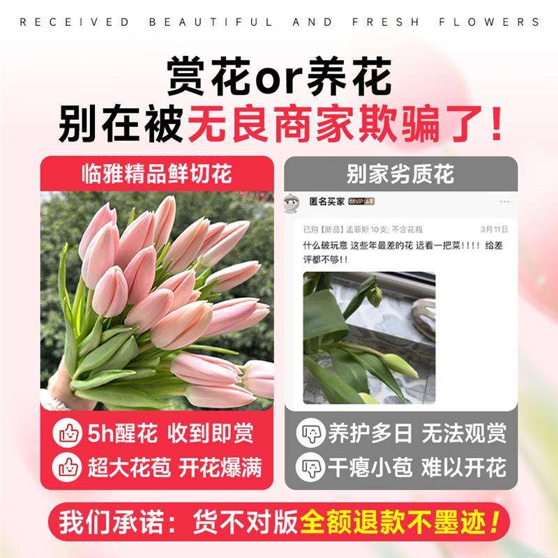粉色郁金香鲜花云南基地直发百合玫瑰花束真花家用插花鲜切花