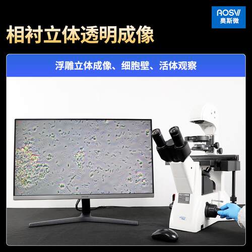 奥斯微（AOSVI）科研实验倒置相衬生物显微镜BX22P-HD228S