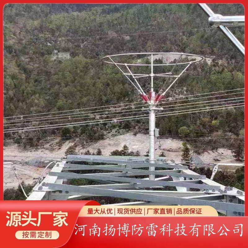 变电站高压可控放电针35KV 110KV 220KV 300KV 提前放电针避雷针