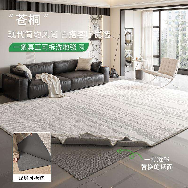 可拆洗地毯客厅现代简约新款防水防污意式家用双层可机洗地毯家用