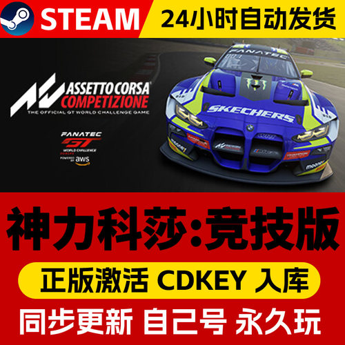 Steam正版神力科莎拉力激活码cdk全DLC激活入库国区全球区Assetto Corsa Rally电脑PC中文游戏
