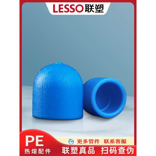 连素Pe水管配件全管热熔管帽塞头4点20点6点25点32给水管道