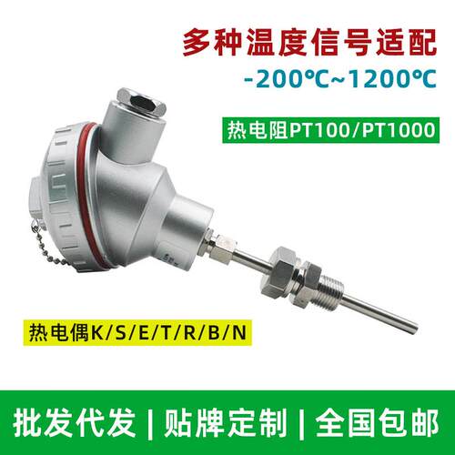 华仁装配式热电偶防腐耐磨耐高温K型S型多点热电偶WRN温度变送器