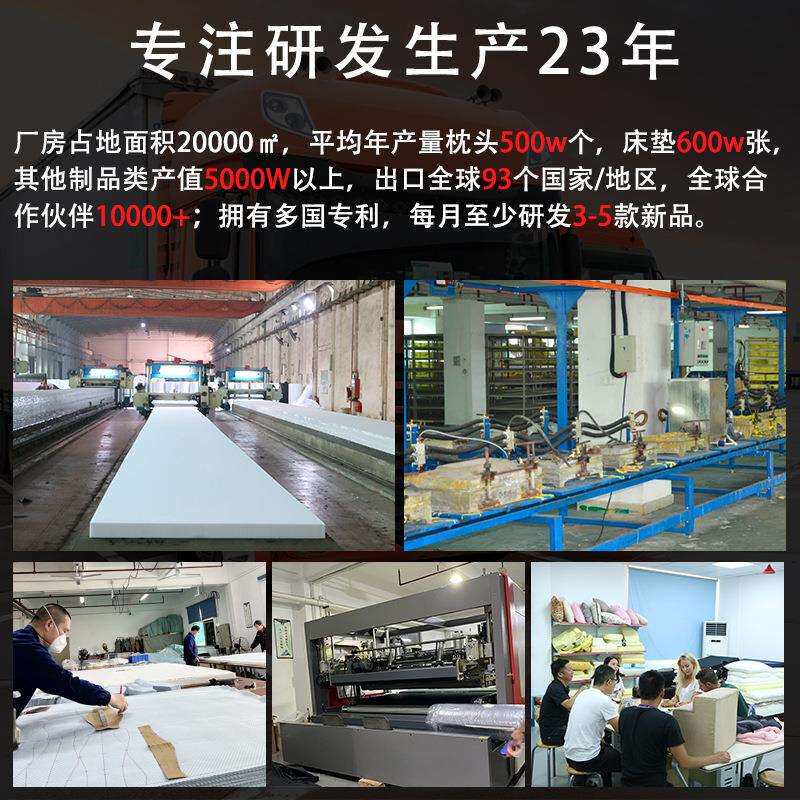 波浪按摩凝胶记忆棉床垫蜂窝聚氨酯海绵亚马逊跨境家居床垫子