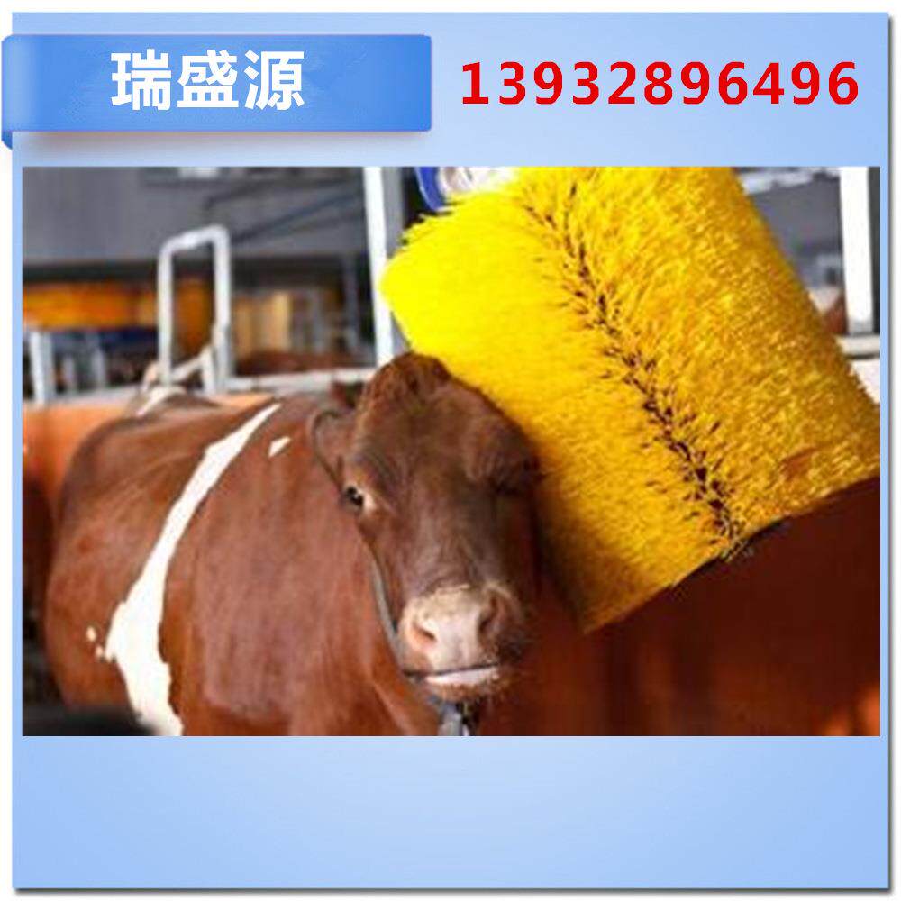 养殖设备 牛清洁设备全自动旋转牛体刷 摆动式清洁牛体刷牛用品