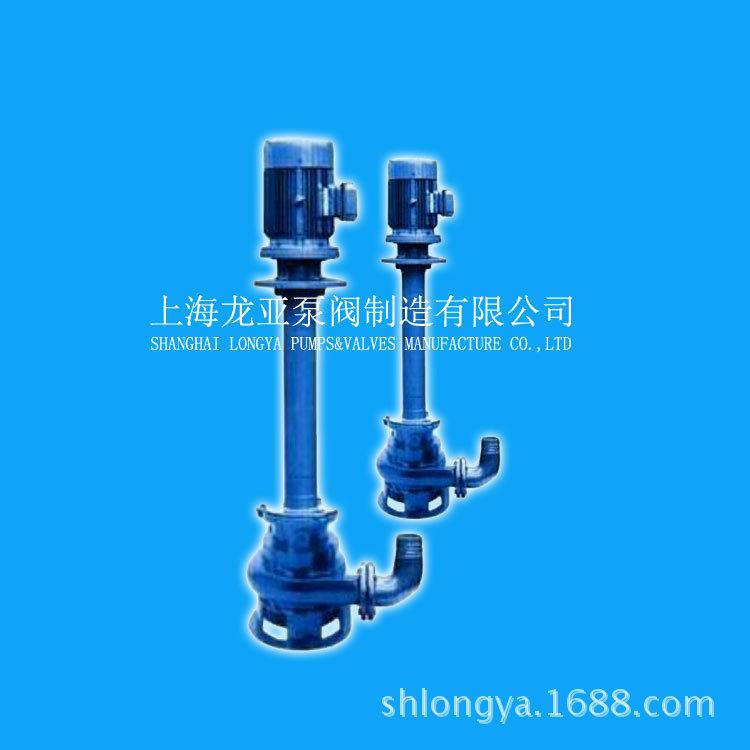 上海32FYS-20型防腐硫化促进剂M剂液下泵液下深度0.685M