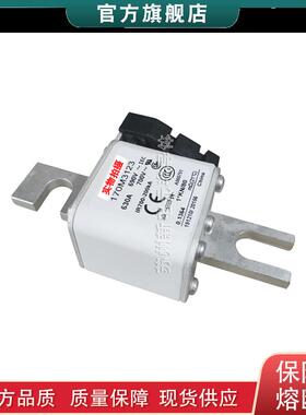 170M3188 3189 3190 3191 3192 巴斯曼bussmann快速熔断器保险丝