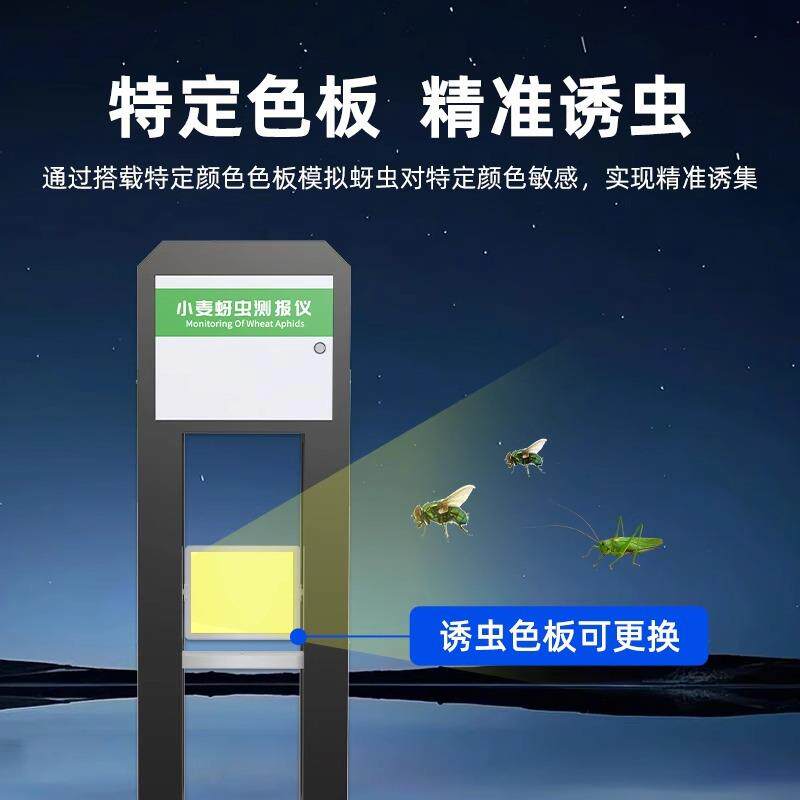 小麦蚜虫测报仪AI预警黏虫吸浆虫赤霉病检测农业病虫害在线监测站