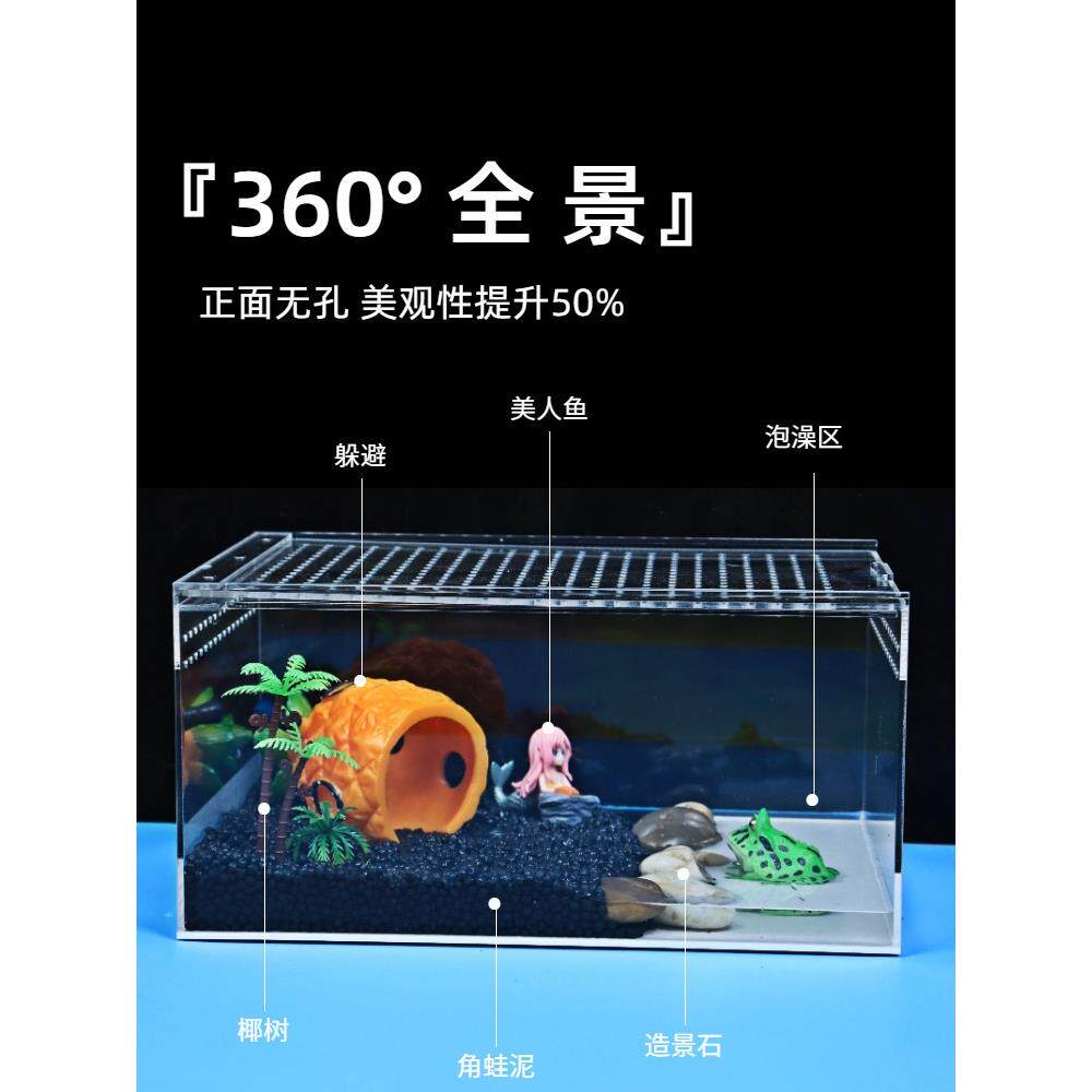 角蛙饲养箱生态缸造景青蛙套餐爬其它元器件