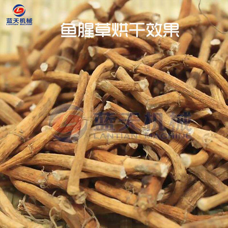 鱼腥草烘干机 空气能热泵折耳根烘干房 狗心草狗点耳除湿烘干设备