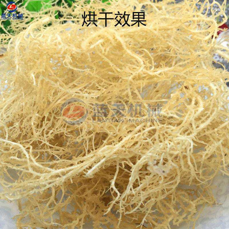 石花菜烘干机 空气能龙须菜牛毛菜除湿烘干房 全自动石花草烘干机