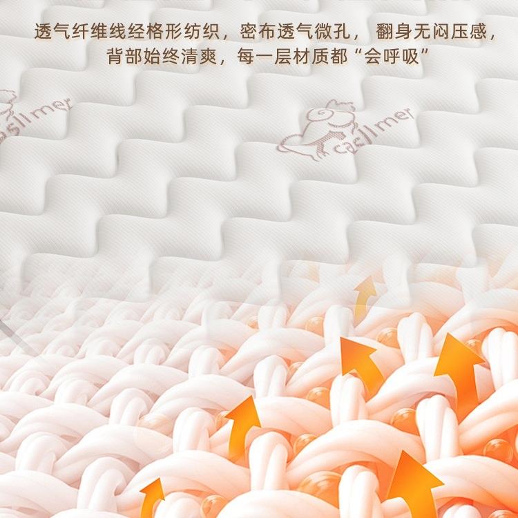 弹簧床垫子家庭用卧室乳胶软租房专用硬椰棕20cm厚四季通用席梦思