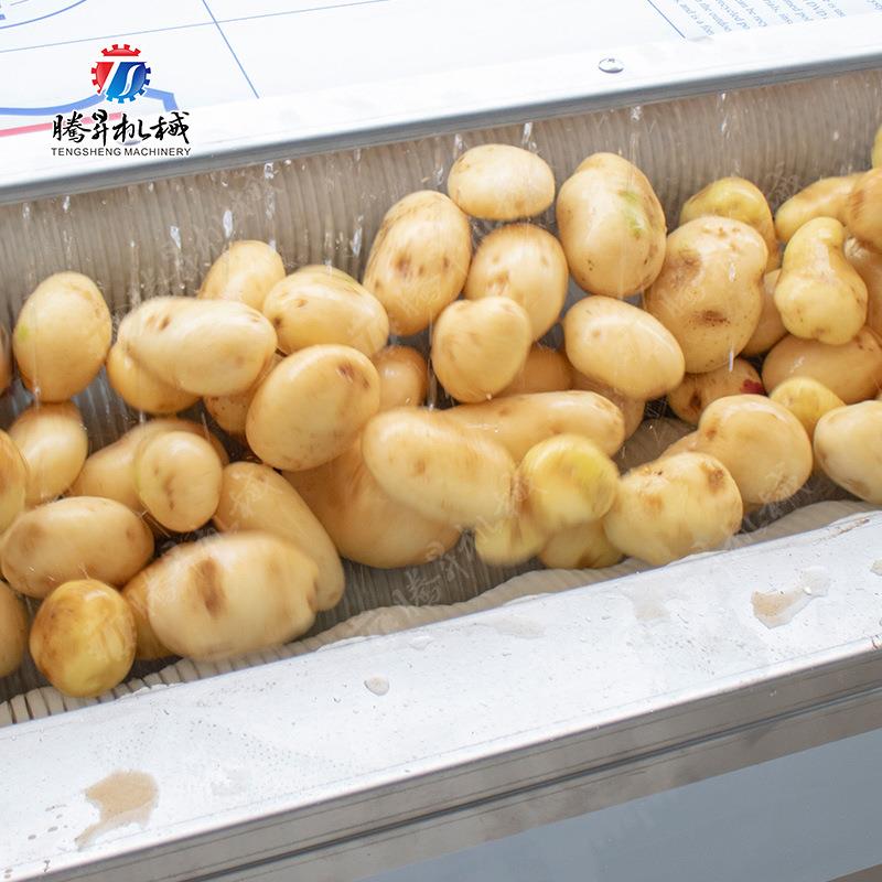 热销毛辊清洗生产线 毛芋南瓜芋仔清洗去泥 毛刷式槟郎芋头清洗