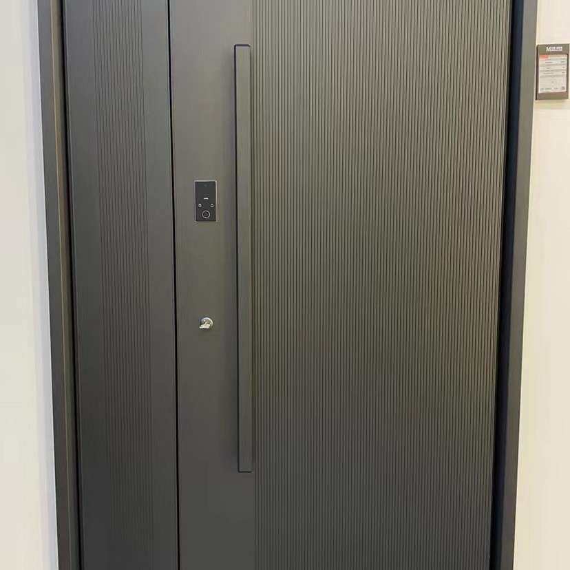 防爆铸铝门子母门入户门别墅大门防盗门家用进户门现代安全门