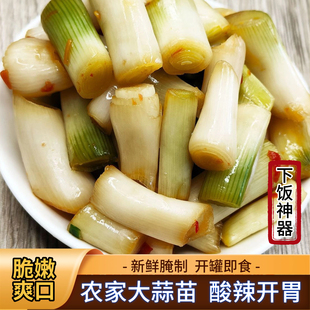 鑫友缘农家腌大蒜杆下饭菜香辣大蒜苗咸菜大蒜梗蒜跟蒜叶即食开胃