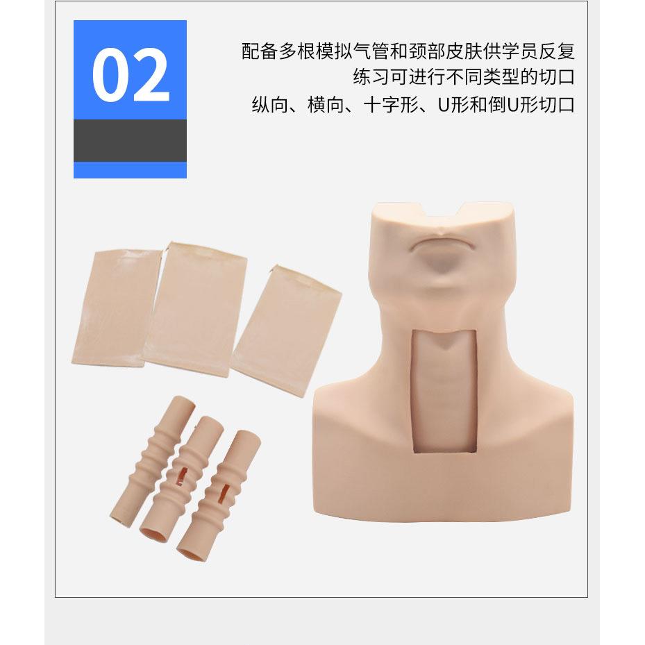 高级环甲膜穿刺及气管切开插管训练模型