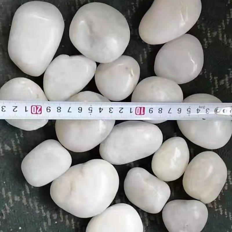 天然鹅卵石铺路造景雨花石各色庭院铺地家用大号白鹅软暖石小石头