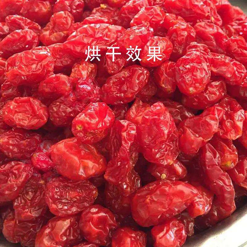 全自动圣女果烘干机 小西红柿小番茄烘干箱 千禧果烘干机小型家用