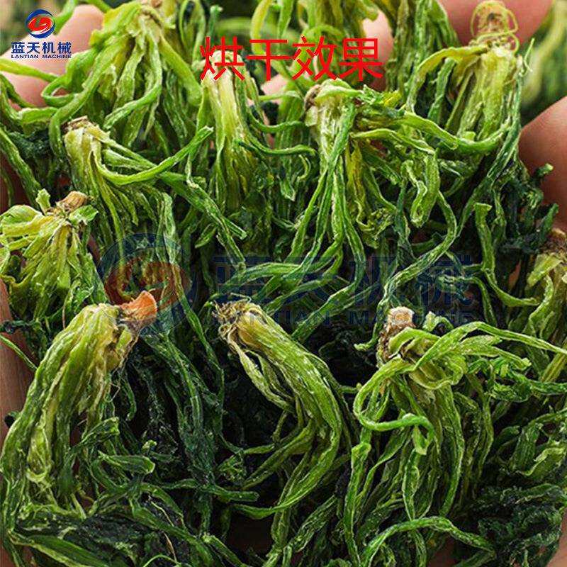 东北山野菜烘干机 空气能热泵山蕨菜脱水烘干房 苜蓿菜野菜烘干机