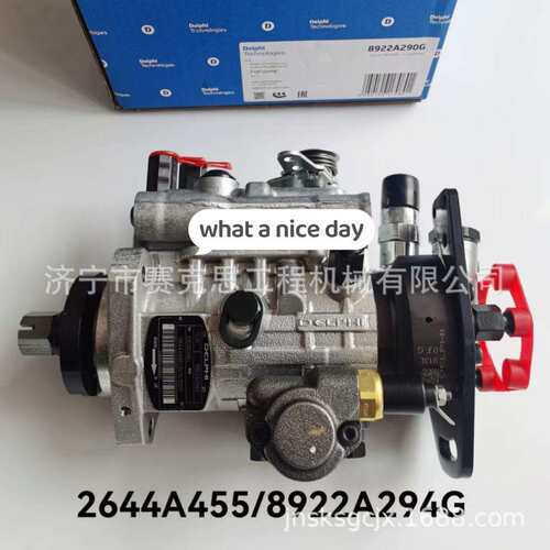 适用德尔福DP200发动机燃油泵 2644A455 8922A294G 济宁赛克思
